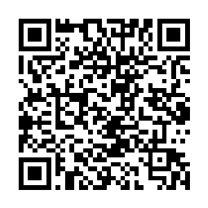 在电影里丑化北韩乃至恶搞一国的领袖都是合法的言论自由二维码生成