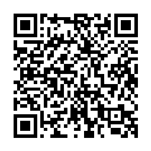 在电脑的这一边雷欢喜甚至都能感受到那一边春天小草的叹气声二维码生成