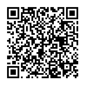 在电视机前的黛玻菈突然想到了那天她在窗边看到荣光和孙奉阳的训二维码生成