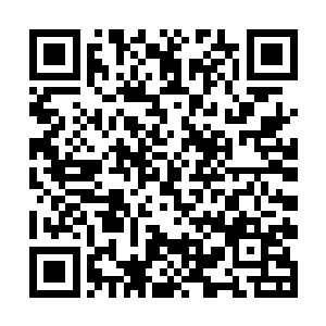 在白日里就和火狐还有小宝大摇大摆地离开了无极宗二维码生成