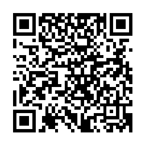 在百族试炼场中央祭坛的空间内可是有着很多混沌兽和域外天魔二维码生成