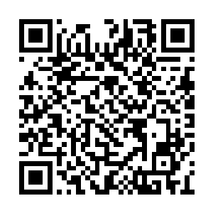 在皇帝的眼皮子底下唱了一出树倒猢狲散的大戏二维码生成