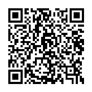 在眉心和太阳穴凝聚成了一丛丛类似神经的网络二维码生成