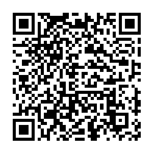 在看到一袭白裙带着蝴蝶面具的慕容仙儿挽着俊美帅气的慕容轩时二维码生成