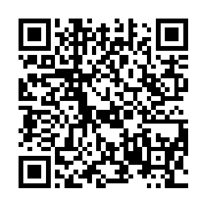 在看到了冷清贞身体崩溃的瞬间她就找到了解决的办法二维码生成