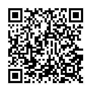 在看到纯粹由特效制作的潘多拉星球出现在大屏幕上时二维码生成