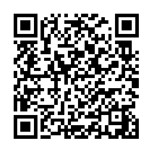 在看到血妖姬们那整齐划一回头看着自己龙血的奇妙眼神二维码生成