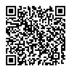 在看到贝芙丽穿着一身俏生生的红色大衣和她的父母站在路边的时候二维码生成