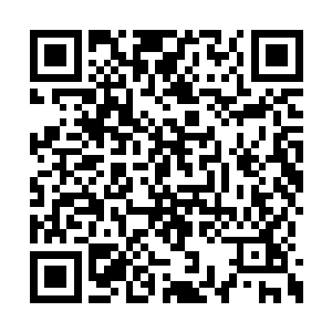 在看到那名为灵宝的小狐狸趴在慕容玥腿上之时二维码生成