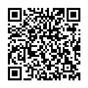 在看到长相如此丑陋的聚火蜥之后竟也生不出太多喜欢的心情来二维码生成