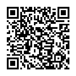 在看待很多事情上更是单纯……所以晏惠卿的完美的演技二维码生成