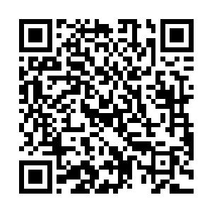 在看过去的时候身体已经做出反应的飞速后退躲避开来二维码生成