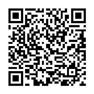 在短期记忆转录为长期记忆时出现了干扰和混乱不错二维码生成