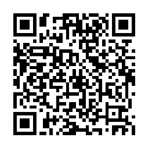 在短短的几个呼吸时间就归一变成一道黑色人影二维码生成