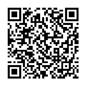 在确定雷琪炎带着铃铛姐乘坐一辆战车去了登天峰后二维码生成