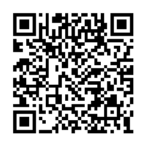 在确认了凌家的人认定了凶手是火仙岛的人之后二维码生成