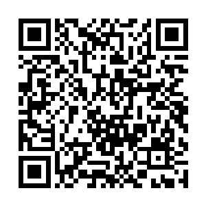 在碧落关的时候就应该找钟良等人要点墨币带在身上二维码生成