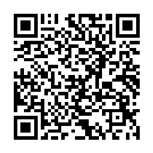 在礼仪官第不知道几次教导赵纯良要怎么做的时候二维码生成