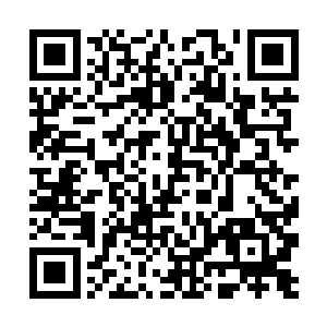 在社交方面脑子不太灵光的小霸王终于回过味儿来了二维码生成