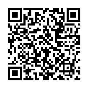 在神域普遍受歧视的下界飞升者被列为资质过人的行列二维码生成