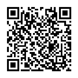在神山山主卸任前会不会有更多的神子谁也不知道二维码生成
