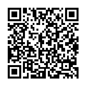 在离开之前把扎西拉到自己的阵营是一件无比正确的决定二维码生成