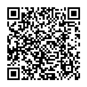在离开婚礼现场的闻人修和慕容仙儿一行人此刻出现在了龙家岛的树林之中二维码生成