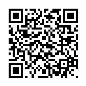 在离着花鸟市场不远处的一栋厂房外二维码生成