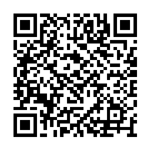 在种植那段建木根茎的土壤上滴了几滴混沌之气二维码生成