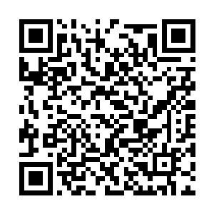 在秦宇话音落下的刹那便已经是一口要在了石柱上二维码生成