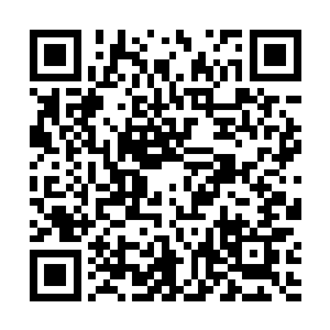 在秦方以混乱神拳强势击碎了李无花的剑之领域的时候二维码生成