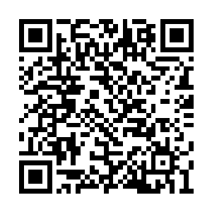 在秦洛和耶稣这两个外人面前也顺口就叫了出来二维码生成