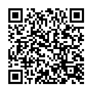 在穆扬灵的指点下很快就看到了努力在划船的侍卫三和船工二维码生成