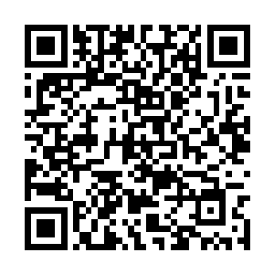 在空中幻化成密密麻麻的的利刃砸向了青火宗修士二维码生成