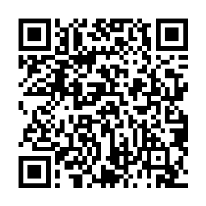 在空中翻滚着落到了对面重重的摔下后又连续翻滚了两周二维码生成