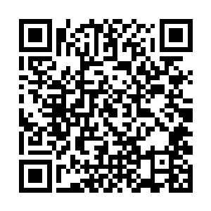 在空中身体旋转着然后朝着远处的一棵大树飞了过去二维码生成