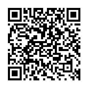 在竞技场中见到胖子炼制的灵魄丹竟然连各家大人物都为之哄抢二维码生成