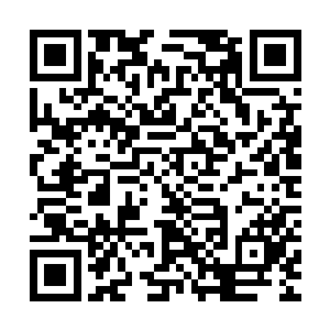 在第一次看到她为那些水平其实很次的肥皂剧而流泪不止的时候二维码生成