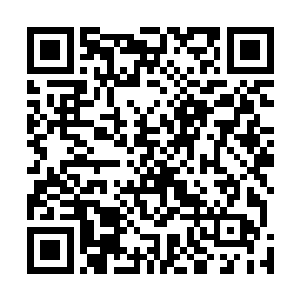 在第一波脑浆子喷出来时已用月步朝高处攀升了一段距离二维码生成