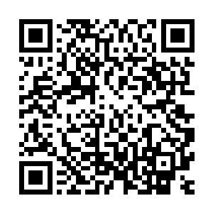 在第一眼见到吴岩施展出神识战技后便对吴岩充满了深深忌惮二维码生成