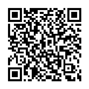 在管家的代领下凶神恶煞地奔着她这边就跑了来二维码生成
