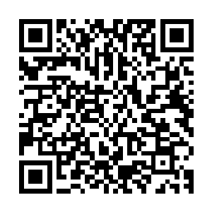 在篮球即将弹出的一瞬间施放了一丝真气出去将篮球又压了下去二维码生成