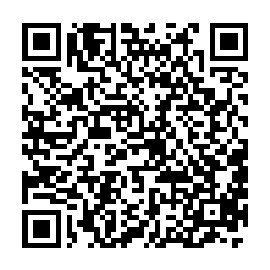 在系统判定外地入侵已对光网保护范围内对象造成无法逆转的伤害时二维码生成