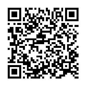 在紫晴脑海里出现另外一个不收到她控制的意识的同时二维码生成