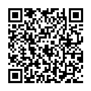 在紫镜世界内狩猎紫猿也就渐渐成了紫帝继承人的一种方式二维码生成