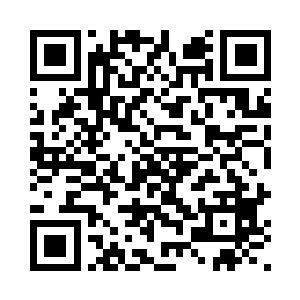 在紫霞殿内绝对是核心弟子一辈的二维码生成