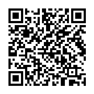 在经历过一波回家补给一波小龙团以及一波团灭开大龙以后二维码生成