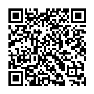 在经过了没落之后竟然还能诞生出来两位道友这般的人杰二维码生成