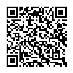 在经过尊敬的殿主以及八大副殿主共同商议之后二维码生成