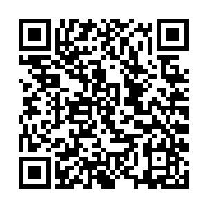 在绽放上也可能就因为细微的变化而引起巨大的质变二维码生成